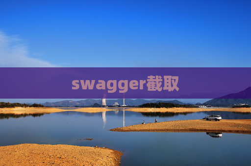swagger截取